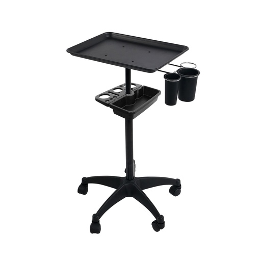 T200-1-2 Farbwagerl schwarz 47*12*41cm