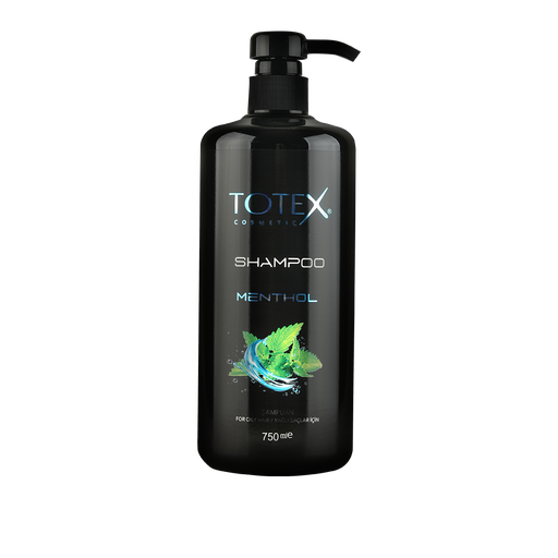 Totex Shampoo Menthol 750 ML 